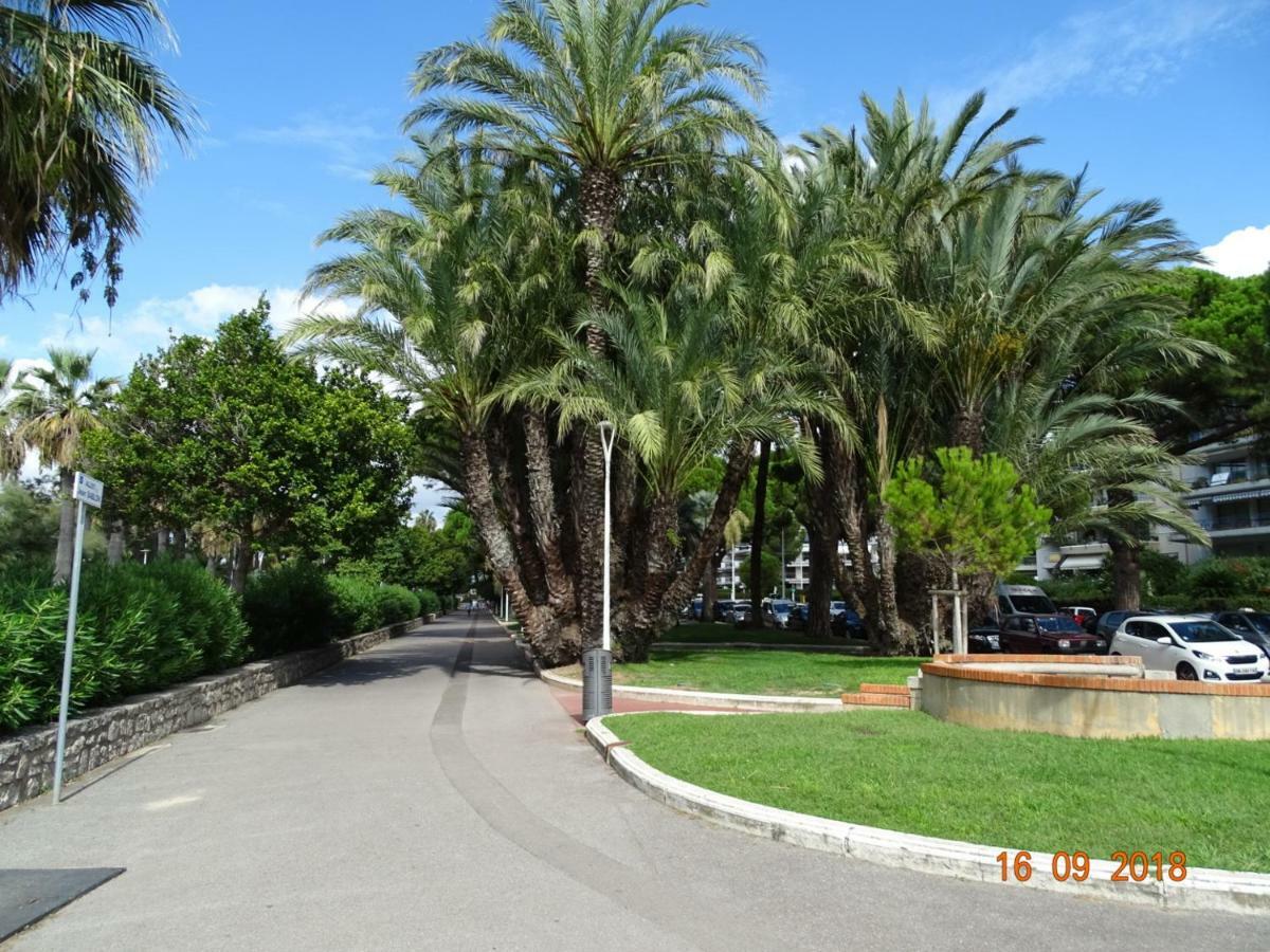 Palm Beach Cannes Azur Apartment Екстериор снимка